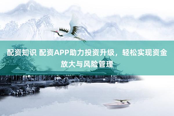 配資知識 配資APP助力投資升級，輕松實(shí)現(xiàn)資金放大與風(fēng)險(xiǎn)管理