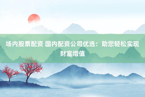 場(chǎng)內(nèi)股票配資 國(guó)內(nèi)配資公司優(yōu)選：助您輕松實(shí)現(xiàn)財(cái)富增值