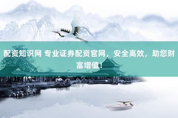 配資知識(shí)網(wǎng) 專業(yè)證券配資官網(wǎng)，安全高效，助您財(cái)富增值！