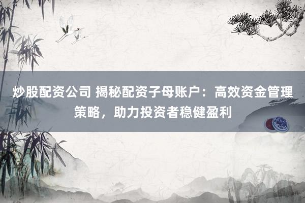 炒股配資公司 揭秘配資子母賬戶：高效資金管理策略，助力投資者穩(wěn)健盈利